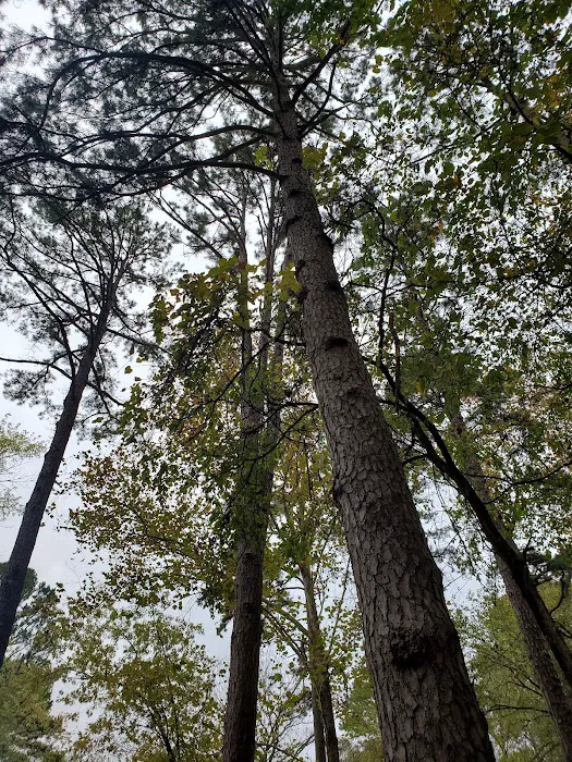 Campground 1 10