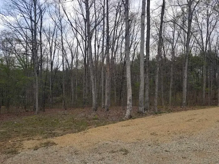 Yokum Ridge Campground 10