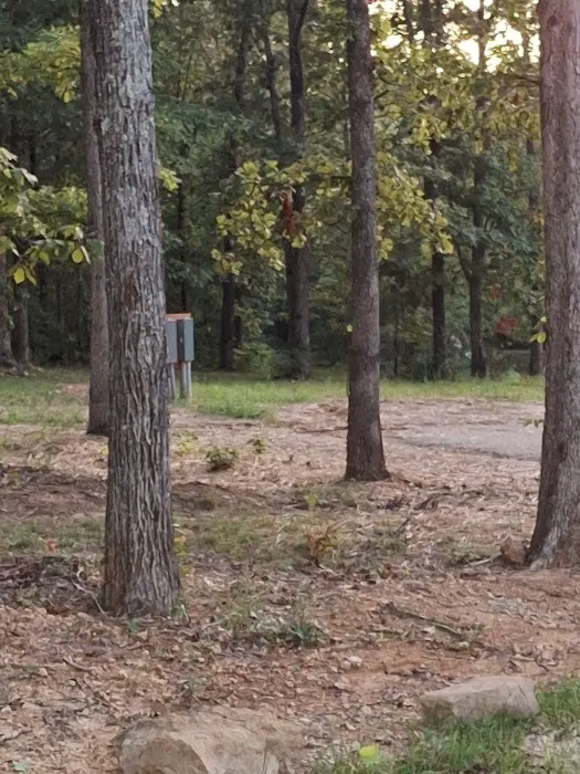 Yokum Ridge Campground 6
