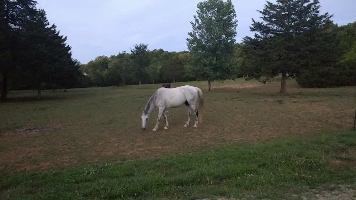 Starner Camping & Stables 4