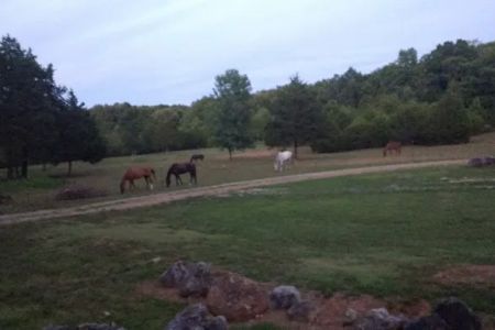 Starner Camping & Stables