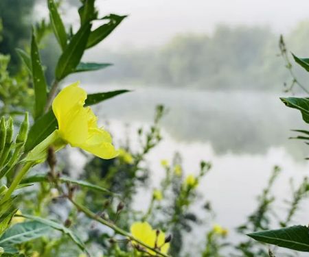 GREENVILLE RECREATION AREA