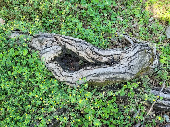 GREENVILLE RECREATION AREA 10