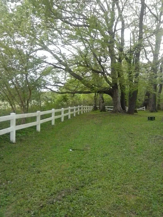 Riverside Campground 8