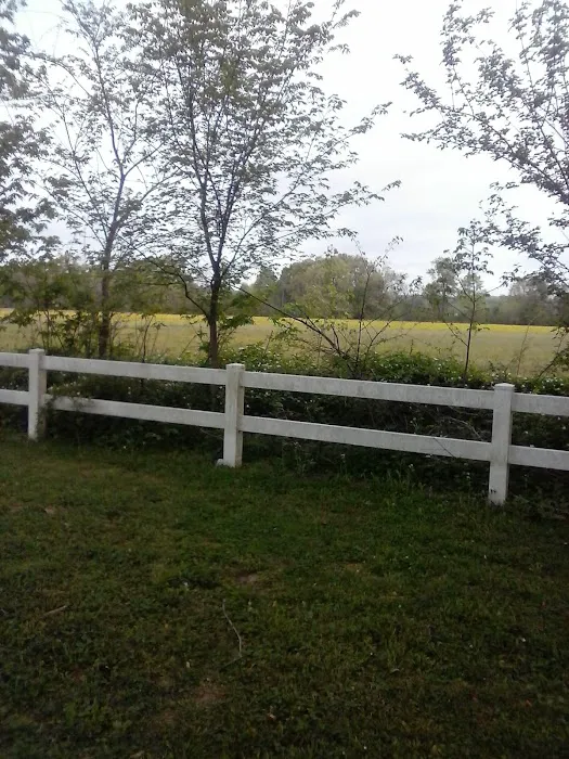 Riverside Campground 5