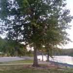 Redman Creek Pavillion