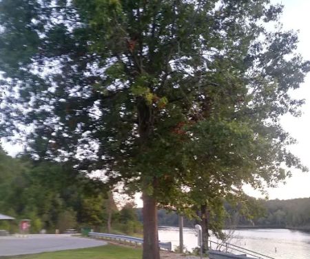 Redman Creek Pavillion