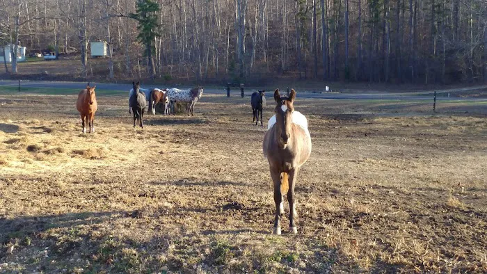 Black River Traditions, LLC 7
