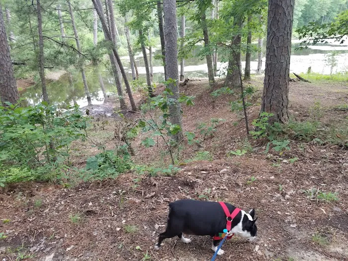 Little Scotia Campground 10