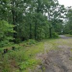 Little Scotia Campground