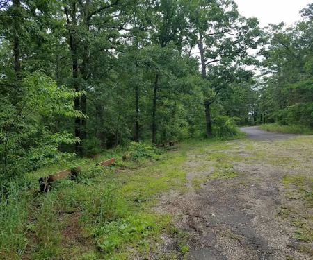 Little Scotia Campground