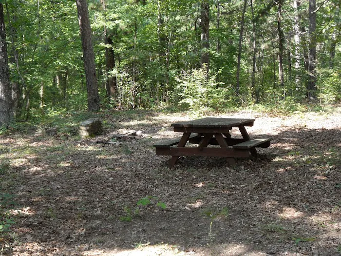 Little Scotia Campground 2