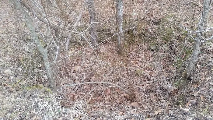 Little Scotia Campground 8