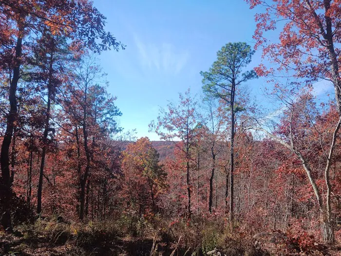 Little Sinkin Creek RV Resort & Campground 5