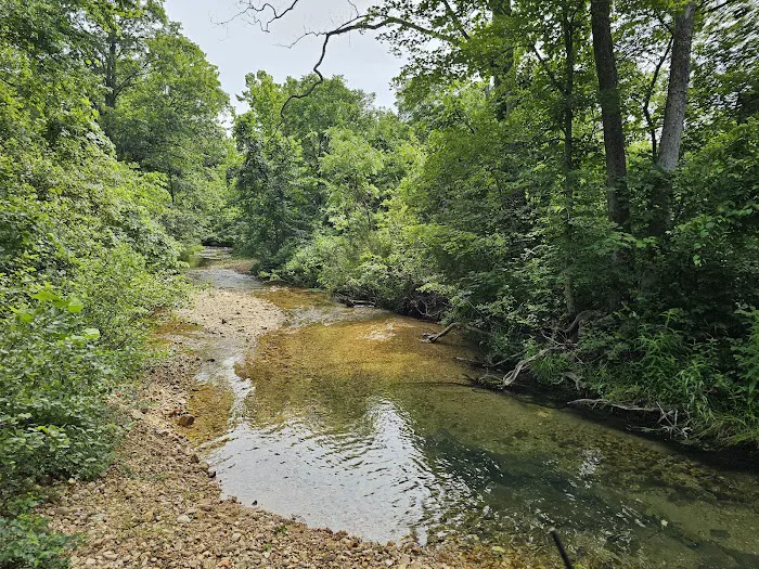 Little Sinkin Creek RV Resort & Campground 9