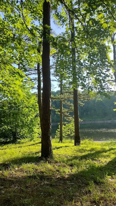 Loggers Lake Campground 8