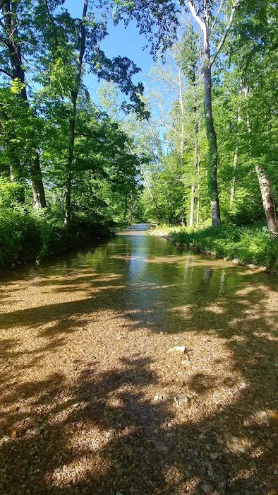 Four Creeks Ranch Campground 5