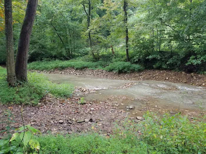 Tanglewood Acres 8