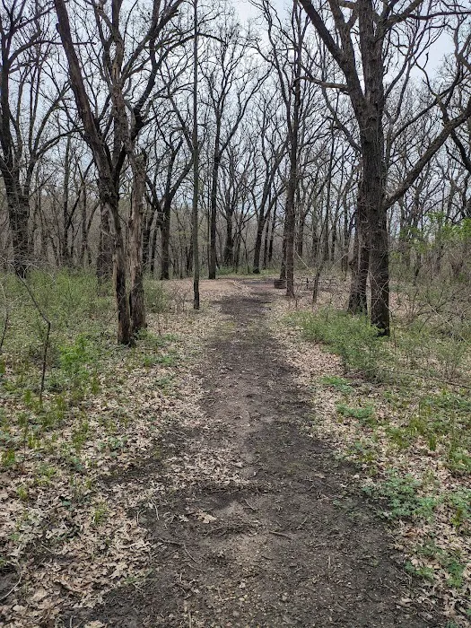 Kilen Woods Campground 6