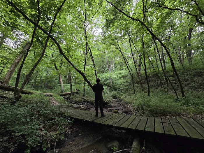 Kilen Woods Campground 3