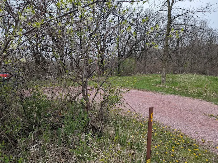 Kilen Woods Campground 8