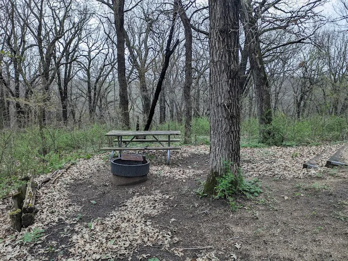 Kilen Woods Campground 7