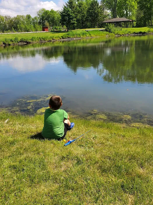 Boehner Pond Campground 2