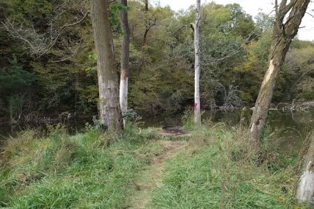 Hohneke Pond site #1