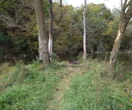 Hohneke Pond site #1