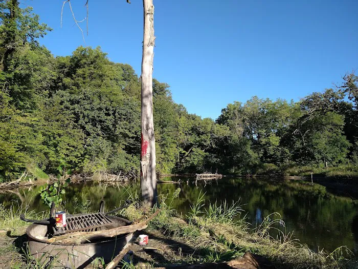 Hohneke Pond site #1 4