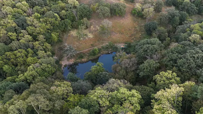 Hohneke Pond site #1 3