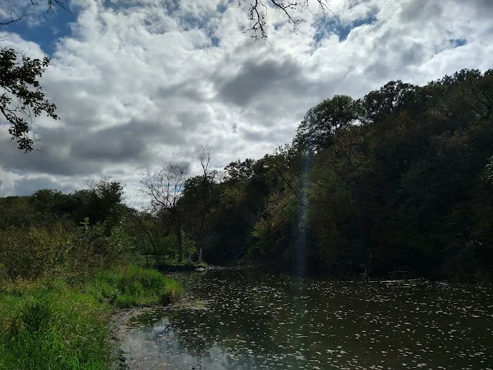 Hohneke Pond site #1 7