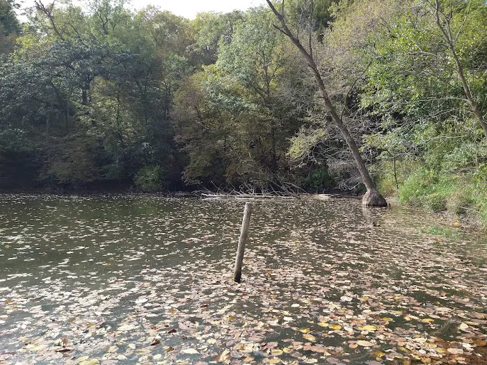 Hohneke Pond site #1 10