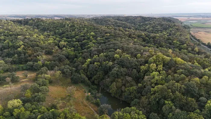 Hohneke Pond site #1 6