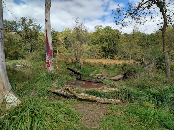 Hohneke Pond site #1 2