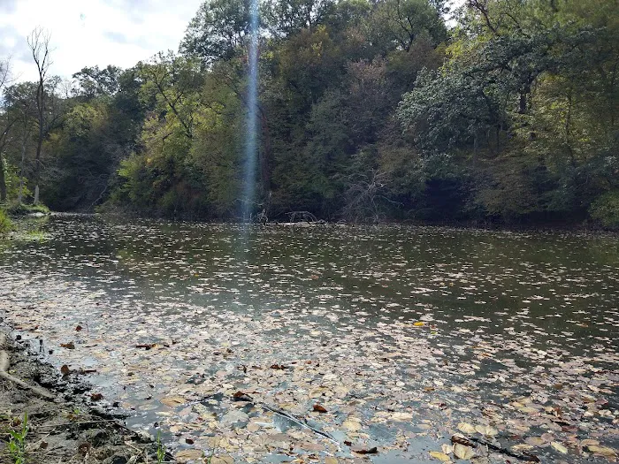 Hohneke Pond site #1 5