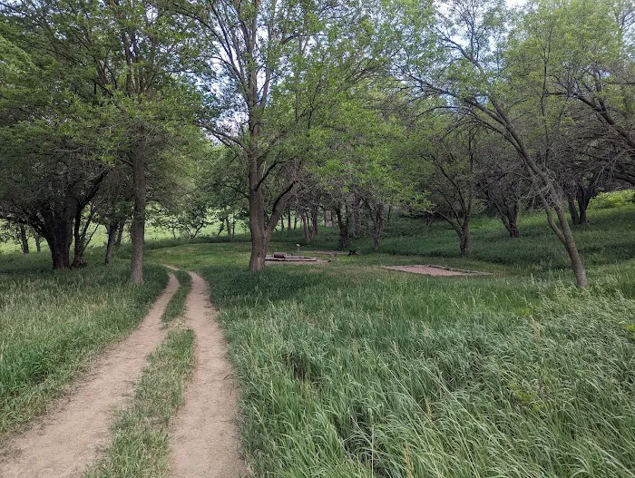 Badger Ridge Campsite 7