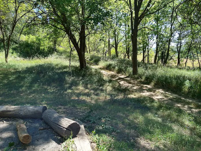 Badger Ridge Campsite 2