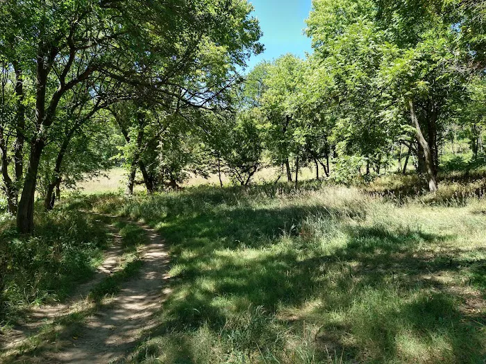 Badger Ridge Campsite 8