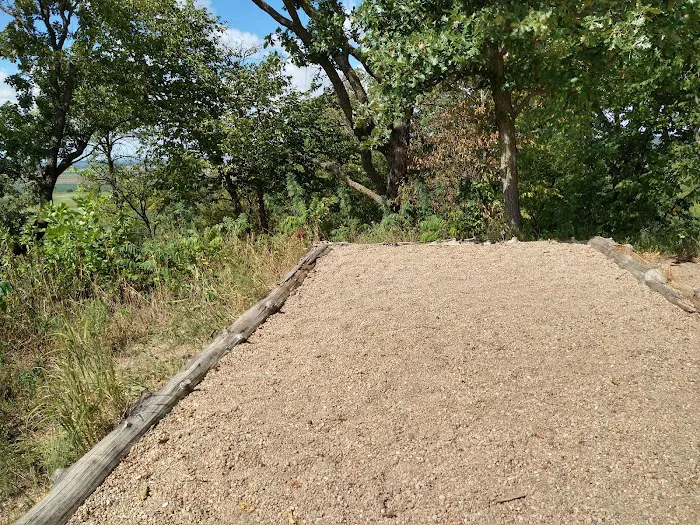 Cottonwood Campsite 9