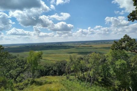 Cottonwood Campsite
