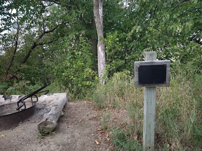 Cottonwood Campsite 5