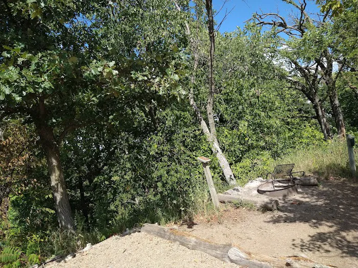 Cottonwood Campsite 4