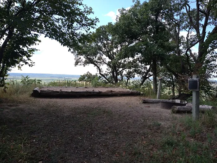 Cottonwood Campsite 2