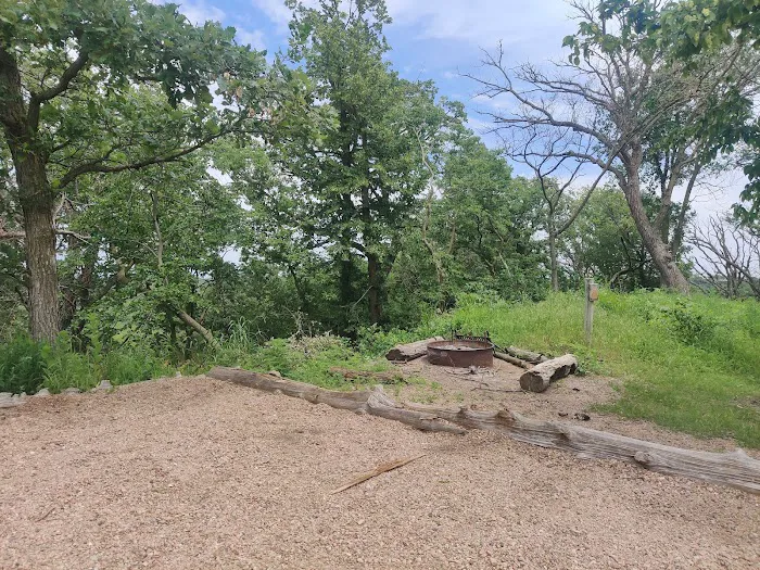 Cottonwood Campsite 7