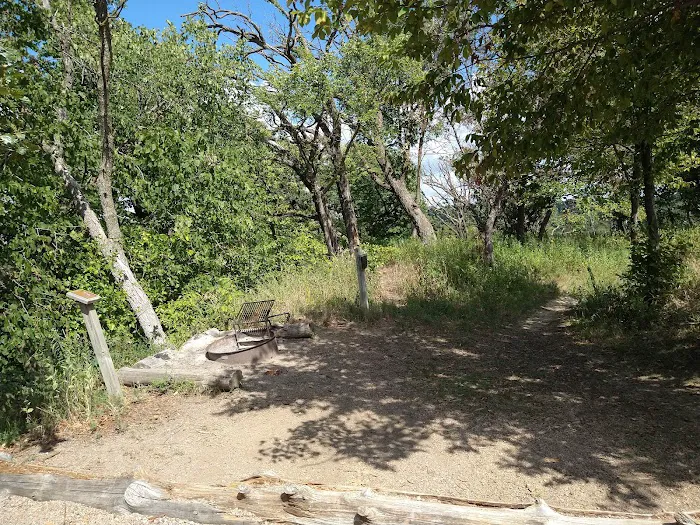 Cottonwood Campsite 10