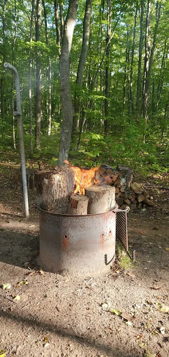 Monocle Lake Campground 5
