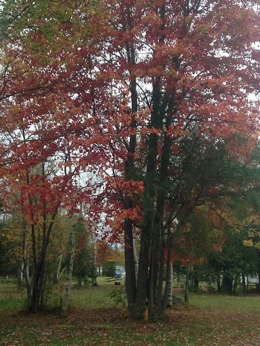 Clear Lake Campground 1