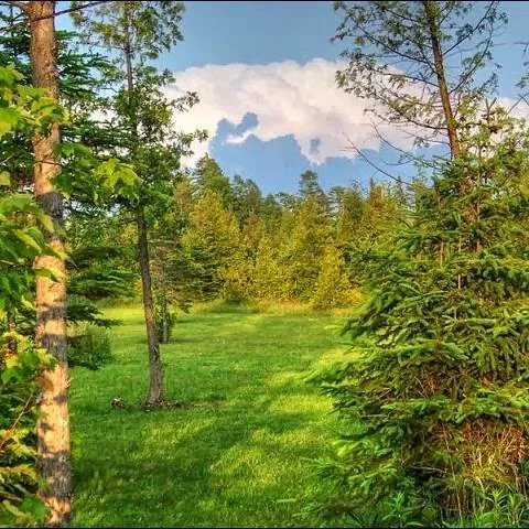 Mackinaw Mill Creek Camping 6