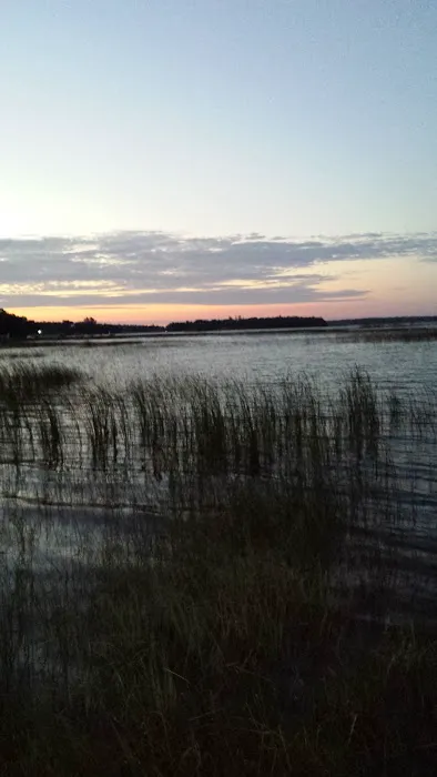 Loons Point Campground 1
